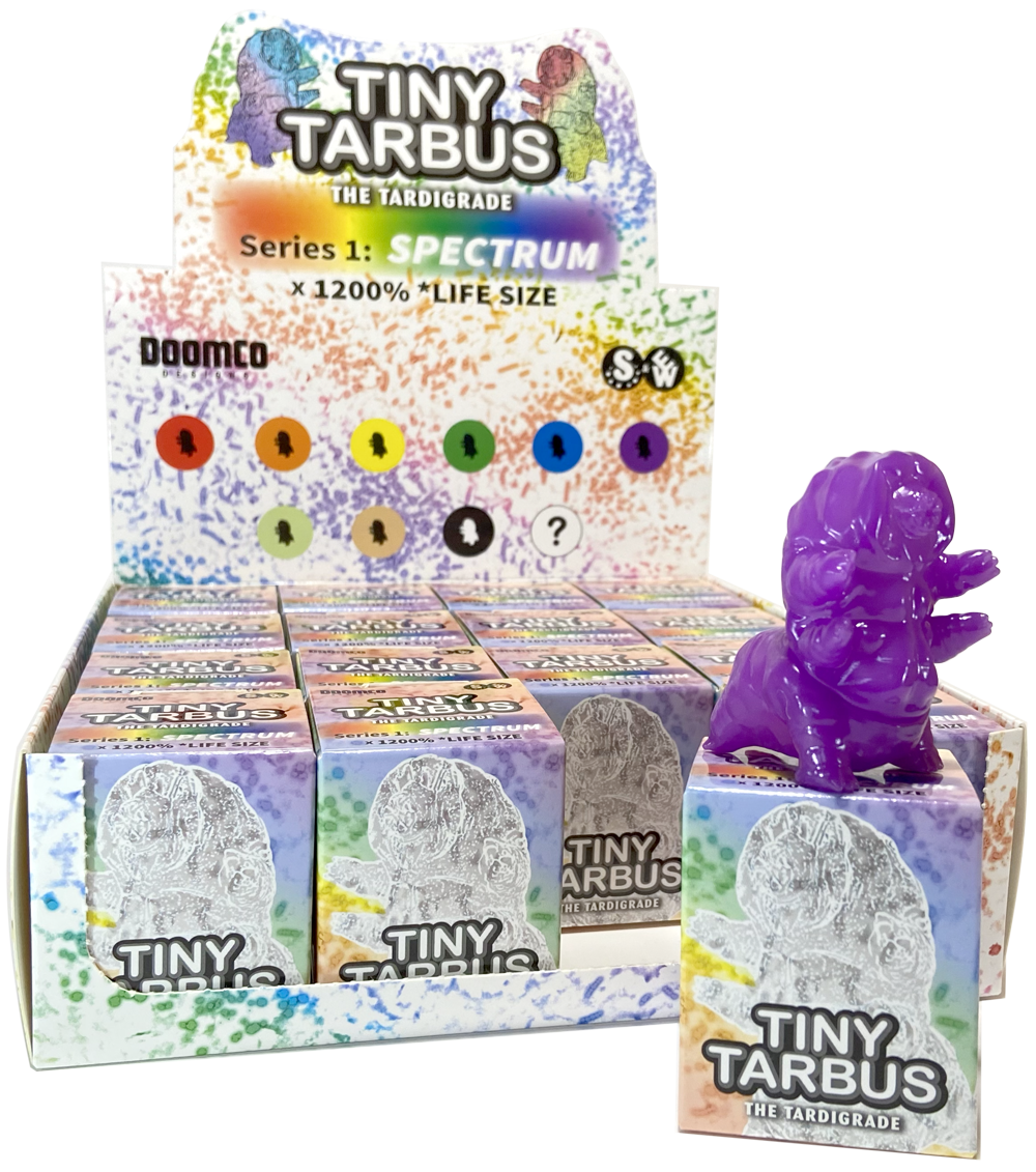 Tiny Tarbus Display Box